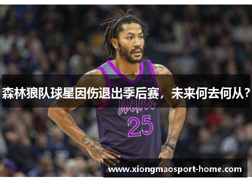 森林狼队球星因伤退出季后赛，未来何去何从？